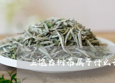 上饶古树茶属于什么茶/2023071684946