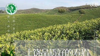 上饶品质好的寿眉/2023090853150