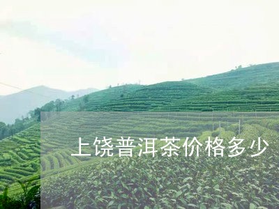 上饶普洱茶价格多少/2023071061737