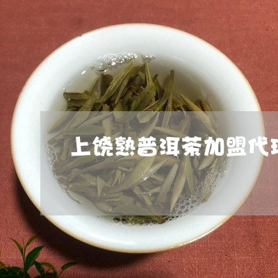 上饶熟普洱茶加盟代理/2023092568270