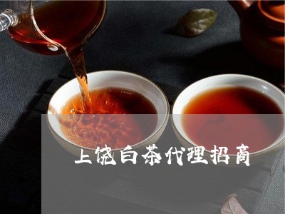 上饶白茶代理招商/2023061415381