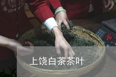 上饶白茶茶叶/2023051235138