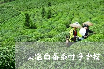 上饶白茶茶叶多少钱/2023121527248