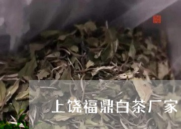 上饶福鼎白茶厂家/2023061494937