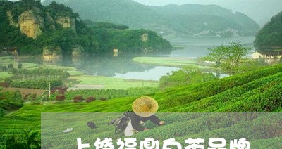 上饶福鼎白茶品牌/2023061415940