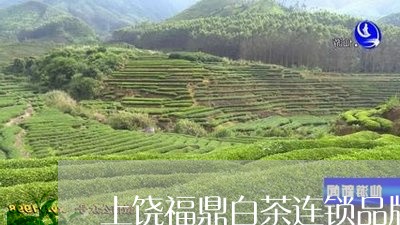 上饶福鼎白茶连锁品牌/2023092675948