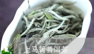 上马箐普洱茶/2023042689422