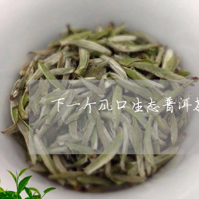 下一个风口生态普洱茶/2023092649691