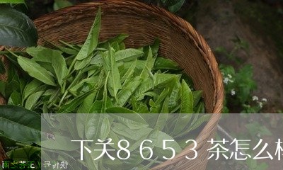 下关8653茶怎么样/2023092169693