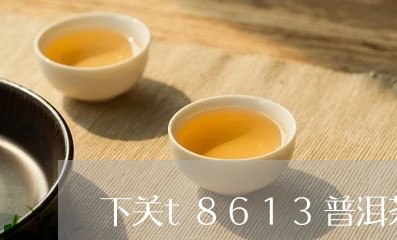 下关t8613普洱茶/2023100759491