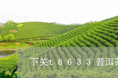 下关t8633普洱茶/2023080284735