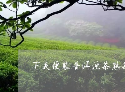 下关便装普洱沱茶熟茶怎么样/2023052776967