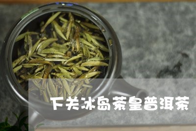 下关冰岛茶皇普洱茶/2023112702726