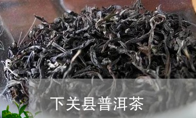 下关县普洱茶/2023091368373