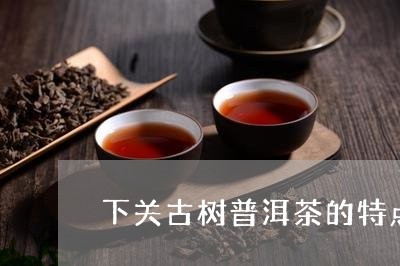 下关古树普洱茶的特点/2023062001947