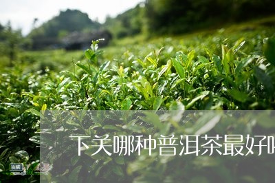 下关哪种普洱茶最好喝/2023080399261