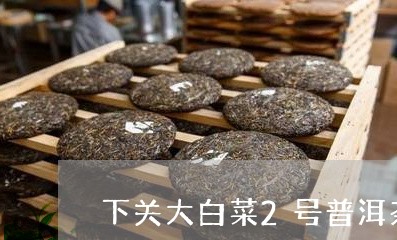 下关大白菜2号普洱茶/2023101733818