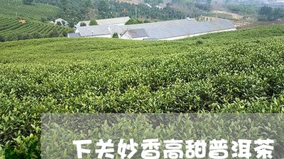 下关妙香高甜普洱茶/2023120443847