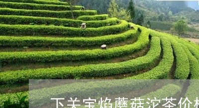 下关宝焰蘑菇沱茶价格/2023071661726