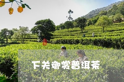 下关御赏普洱茶/2023102695937