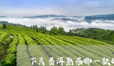 下关普洱熟茶哪一款好/2023092424924