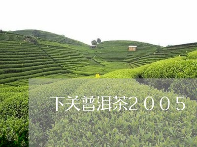 下关普洱茶2005/2023070991604