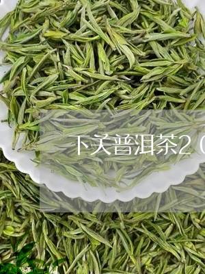 下关普洱茶2022/2023091460826