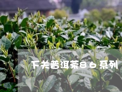 下关普洱茶86系列/2023101733947