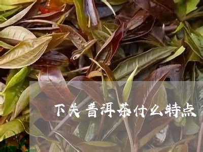 下关普洱茶什么特点/2023070911696