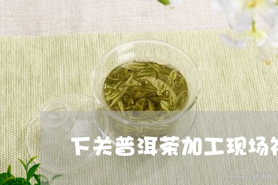 下关普洱茶加工现场视频/2023082809403