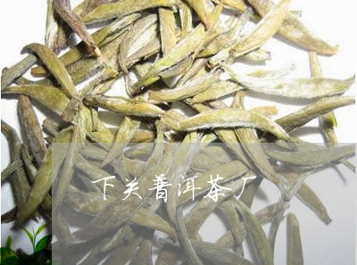 下关普洱茶厂/2023090661605