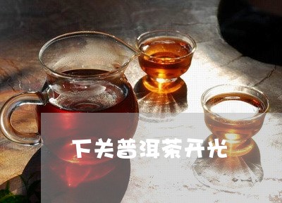 下关普洱茶开光/2023101604926