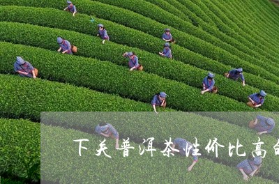 下关普洱茶性价比高的/2023062550706