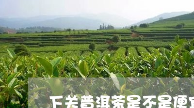 下关普洱茶是不是便宜/2023080369584