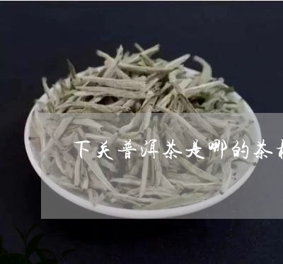 下关普洱茶是哪的茶树/2023062384147