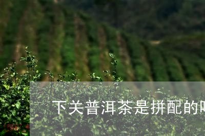 下关普洱茶是拼配的吗/2023093018895