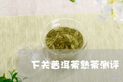 下关普洱茶熟茶测评/2023071040048