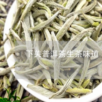 下关普洱茶生茶味道/2023091450582