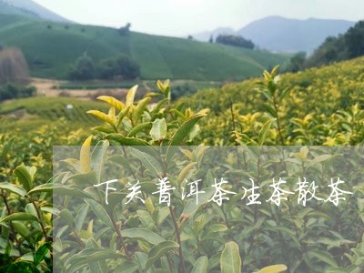 下关普洱茶生茶散茶/2023110526268