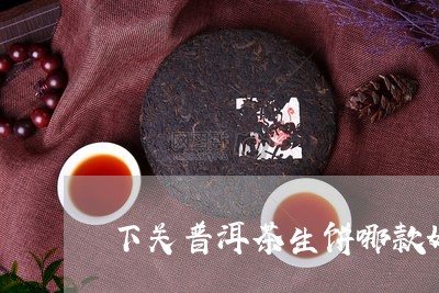 下关普洱茶生饼哪款好/2023062002038