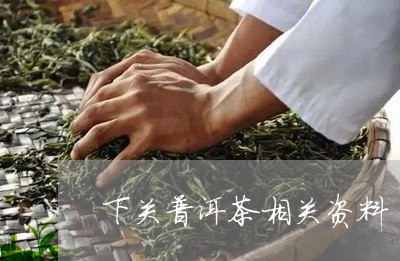 下关普洱茶相关资料/2023091415037