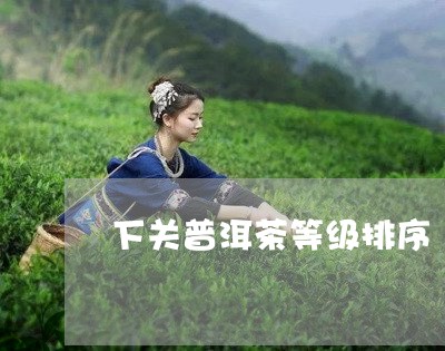 下关普洱茶等级排序/2023062811825