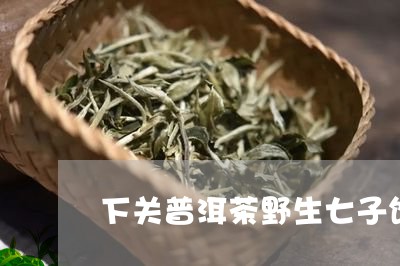 下关普洱茶野生七子饼/2023120761607