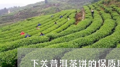 下关普洱茶饼的保质期/2023061662684