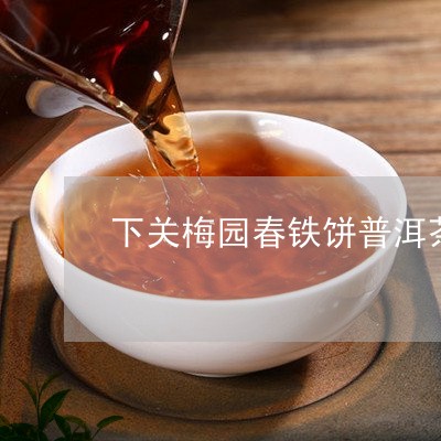 下关梅园春铁饼普洱茶/2023080296059