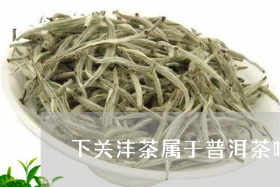 下关沣茶属于普洱茶吗/2023100726370