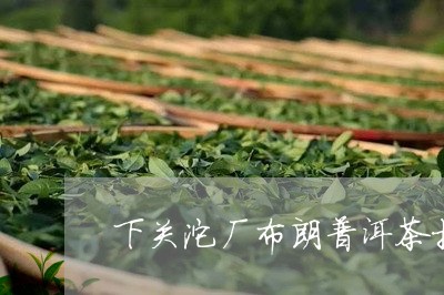 下关沱厂布朗普洱茶推荐/2023120791705