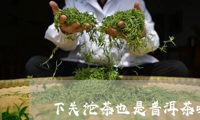 下关沱茶也是普洱茶吗/2023080211716