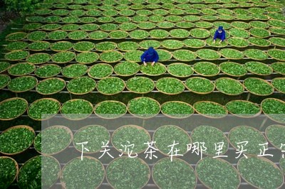 下关沱茶在哪里买正宗/2023060977168