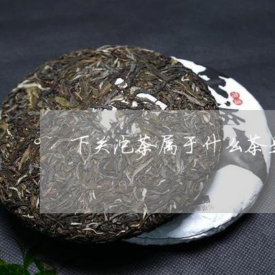 下关沱茶属于什么茶是熟茶还是生茶/2023060497163